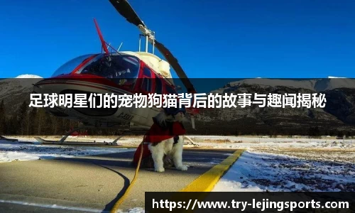 足球明星们的宠物狗猫背后的故事与趣闻揭秘